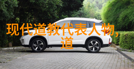 魏华存