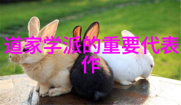眉县太白山王兴理道长